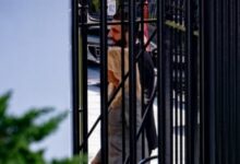 7631966962699202511100951465146