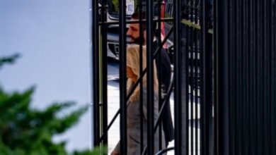 7631966962699202511100951465146