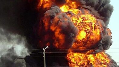 7631966962699202511111157195719