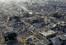 769177385680620251116013302332