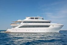 7701525140246202511250941484148