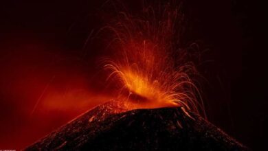 7821490964663202511161228372837