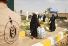 787848466396202511190248234823