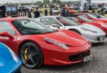 798197776689220251110050321321