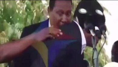 823677143272202511100342154215