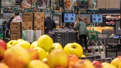 823677143272202511190741254125