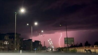 829151280842202511140931173117