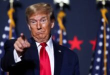 83348097220202511150817251725