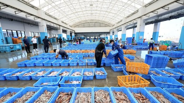 83348097220202511191227292729