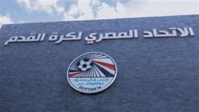 8351016650636202505250831523152