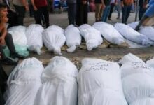 835101665063620251008025609569