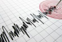 8351016650636202510220212331233