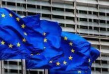 835101665063620251103070028028