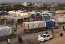 835101665063620251110045903593