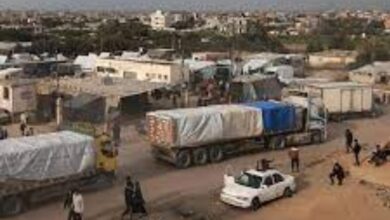 835101665063620251110045903593