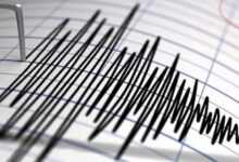 8351016650636202511110813121312