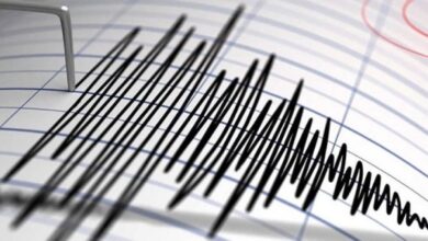 8351016650636202511110813121312