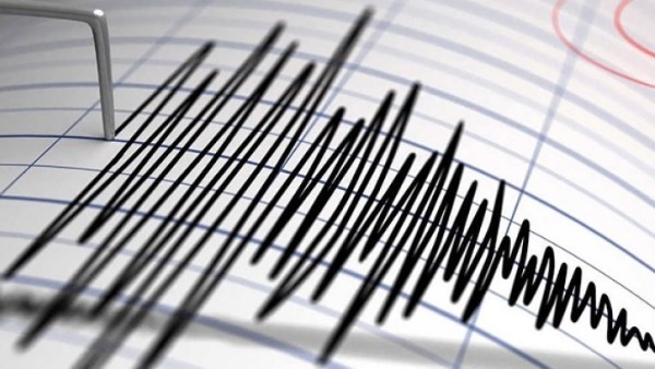 8351016650636202511110813121312