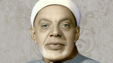 8351016650636202511110835203520