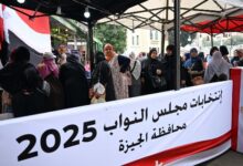 8351016650636202511110926292629