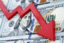 835101665063620251112083403343