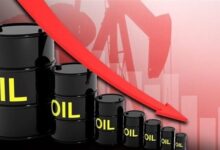 835101665063620251113090828828