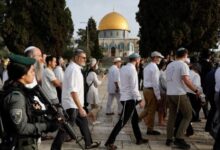 8351016650636202511131242314231