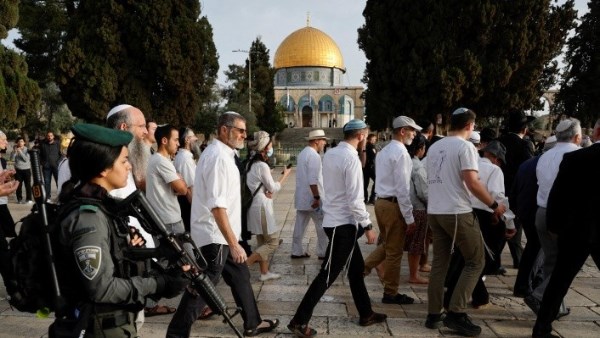 8351016650636202511131242314231