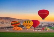 8351016650636202511190223302330