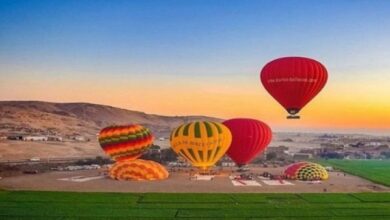 8351016650636202511190223302330