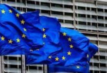 8351016650636202511190939343934