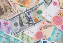 835101665063620251120100449449