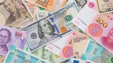 835101665063620251120100449449