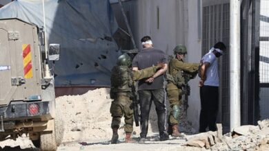 835101665063620251125111409149