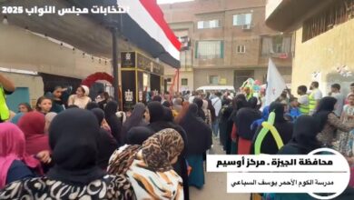 839173872928202511100517411741