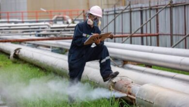 86487486924620251113042002202