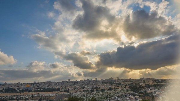 864874869246202511190728212821