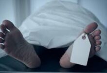 86864922101202510280410221022