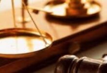 8686492210120251110040049049