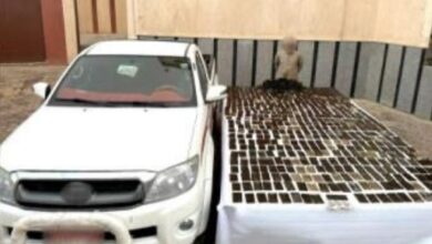 86864922101202511131135283528