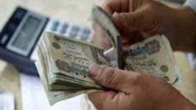 منحة استثنائية لأصحاب المعاشات.. القضاء الإداري يحسم الأمر 6 8686492210120251115061300130