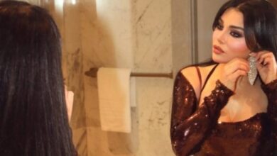 هيفاء وهبي تضع نقابة الموسيقيين أمام المحكمة.. اعرف القصة 6 8686492210120251115063701371