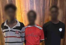 86864922101202511171120272027