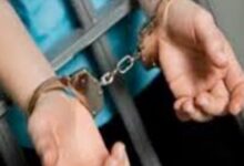 86864922101202511220910361036