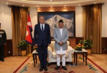 8775580207202511131028242824