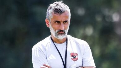 880641423067202511190436593659