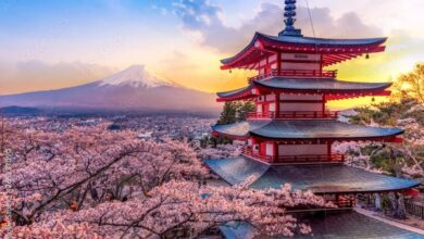 معرض "رمسيس وذهب الفراعنة" في طوكيو.. شاهد على تقدير اليابان للحضارة المصرية 6 881446454000202511191052125212