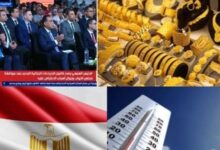 881446454000202511270446184618