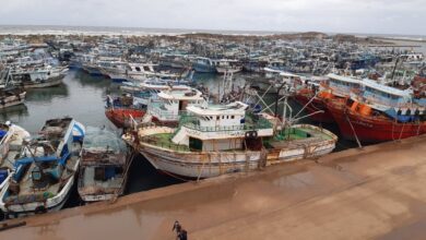 لتحسن الأحوال الجوية.. استئناف حركة الصيد في كفر الشيخ 6 9