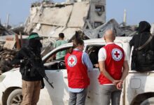 AA 20251113 39698072 39698057 LQSM WSRY LQDS TTZMN TSLYM JTH SYR SRYYLY LKHMYS